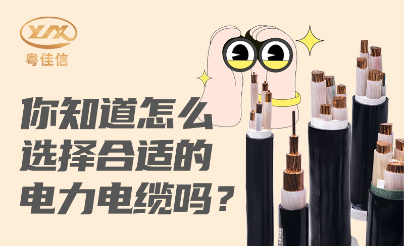 你知道怎么选择合适的丝瓜sigua官网下载ios吗？
