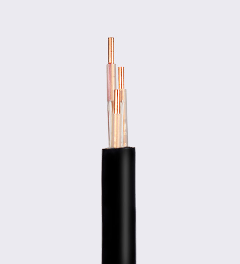 KYJV_丝瓜草莓app用电线电缆